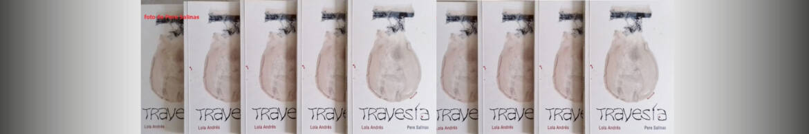 banner-travesia.jpg